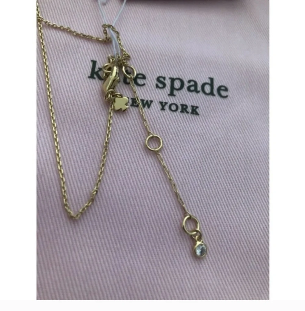 NWT Kate Spade ♠️ Watermelon Necklace & Stud earrings set